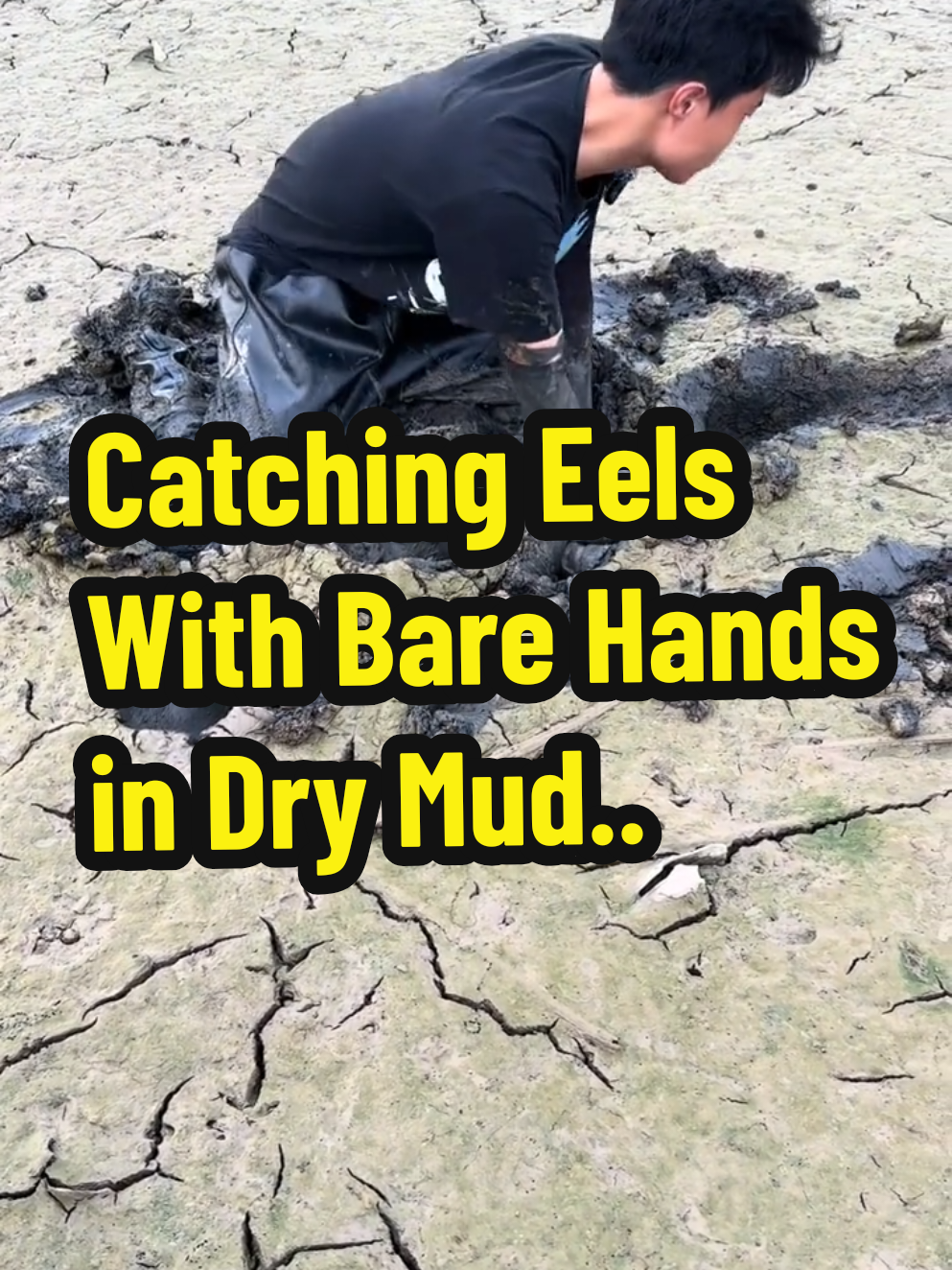 You won’t believe what this man pulls out of the mud with just his bare hands! Standing waist-deep in cracked, thick mud, he skillfully reaches into the ground to hunt for live eels hiding below the surface. No tools, no nets, just pure technique, experience, and precision. This is a traditional method of eel catching still practiced in some rural areas, and it takes both patience and courage to dig into unknown depths. The mud may look dry on top, but it hides a world of surprises underneath. #EelCatching #MudFishing #BareHandCatch #TraditionalFishing #WildHarvest #MudHunter
