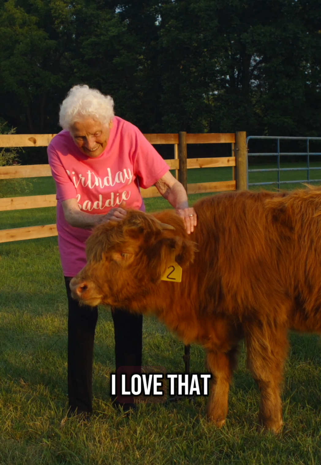 Granny always said that her favorite memories, were growing up on a farm as a child. So I got her a farm for her 99th Birthday ❤️🐴🐮