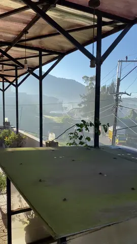 #fyp #xybca #tanijiwohostel #dieng #healing 