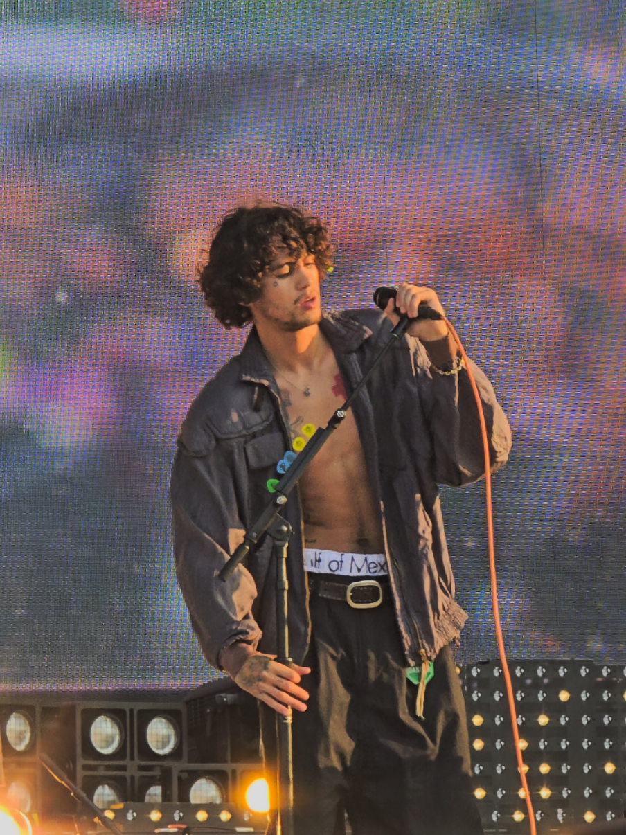#lollapalooza #dominicfike 