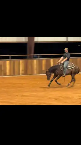 “Mr Fabulosa” 3yr old colt by Arlosa Whiz getting ready for the 100x reining classic Open futurity in Tulsa! #reining #reininghorse #horses #aqha #aqhaproud #nrha #nrhafuturity #coltstarting #millerperformancehorses 
