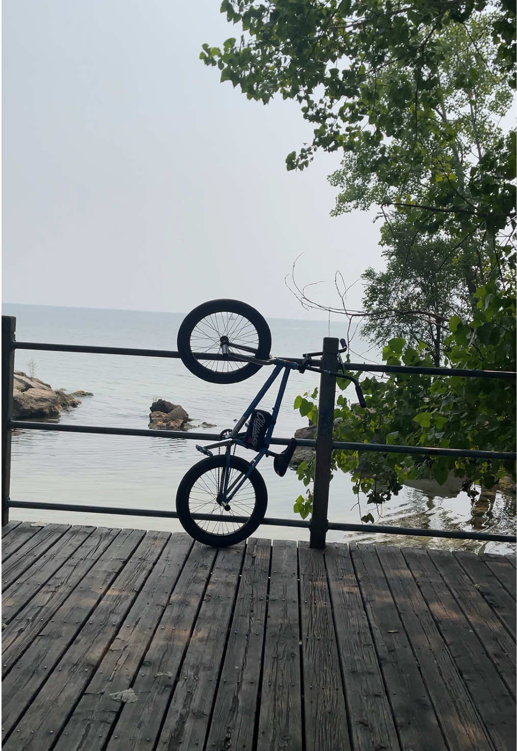 holy glow up #GlowUp #ruby #bmx #bikelife #r1 #e30 #ghostbmx #streetkilla #harvesterbmx #harobmx #cultheavensgate #saltbmx #odesseybmx #rantbmx #sundaybmx #slicktires #missionbmx 