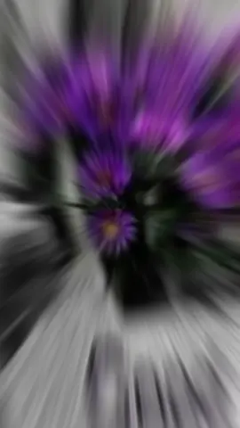 #fypシ #fypシ゚viral #fyp #viraltiktok #tiktok #toptrending #top #trending #tiktokviral #viralvideo #viral #viralsong #good #tik #trendingvideo #trendingsong #trendingtiktok #vibes #goodmorning 