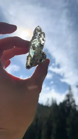 Fallen trees =good slide lol also Is it glass?? Lmao rock ppl HELP #jewelrytiktok #foryewwww #trendingvideo #fypシ゚viral #mysteryjewlerygirl #supportsmallbusiness #crystals #mysterybox #accessories #jewleryhaul #mystery #jewelry #jar #alttiktok #crystalsoftiktok #handmadejewelry #unboxing #altgirl #alternative #freepalestine 