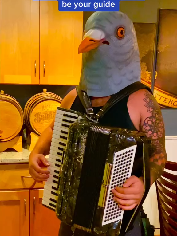 57 I have misplaced my chicken mask  This will do  #fyp #chicken #accordion #chickendance #funny