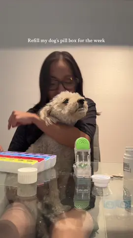 These meds will protect his little heart for the rest of his life❤️‍🩹 🐾@archibald 
