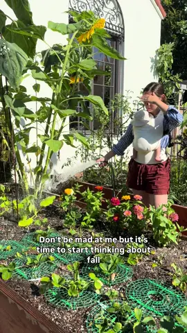 August Gardening Guide on my Substack 👩🏻‍🌾