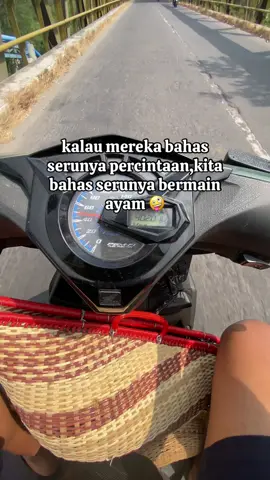urip penak ngene kok disandingke karo sek liane #ayam #bangkokthailand #viral #fyp 
