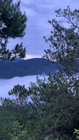 Sea of clouds of Marlboro Hills, Sagada ☁️☁️☁️
