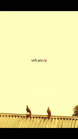 তোমরা উড়ো আমি ক্লান্ত..!! 😅❤️‍🩹#bdtiktokofficial🇧🇩 #growmyaccount✅ #growmyaccount✅♥️♥️♥️ #fypシ #fypシ゚viral #foryou #foryoupage❤️❤️ #ভাইরাল_ভিডিও #viralvideo #caption #bdtiktokofficial #bdtiktokofficial🇧🇩tiktokboangladesh😍😍😍🇧🇩 