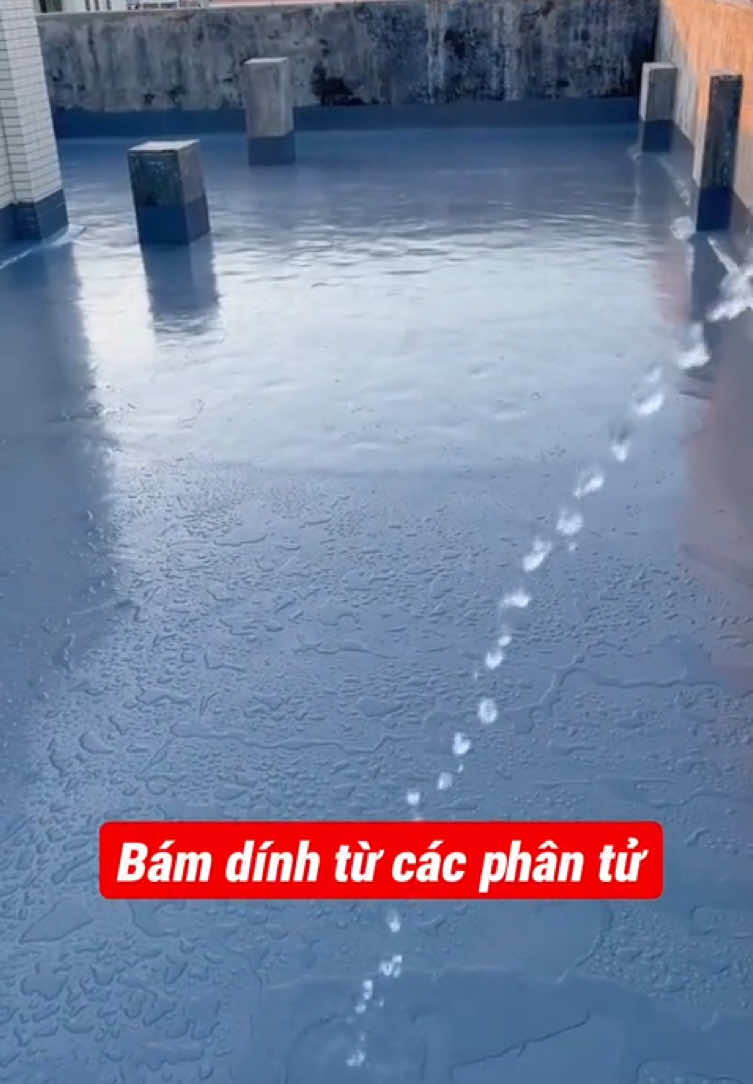 Sơn chống thấm dột#chongthamdotnha #chongthamdot #chongtham 
