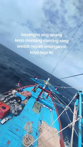 bayangno cah🙂 #storynelayanjuwana #kapalpursesainejuwana #asiamakmurgroupjuwana #bintangasiagroupjuwana #fypシ 