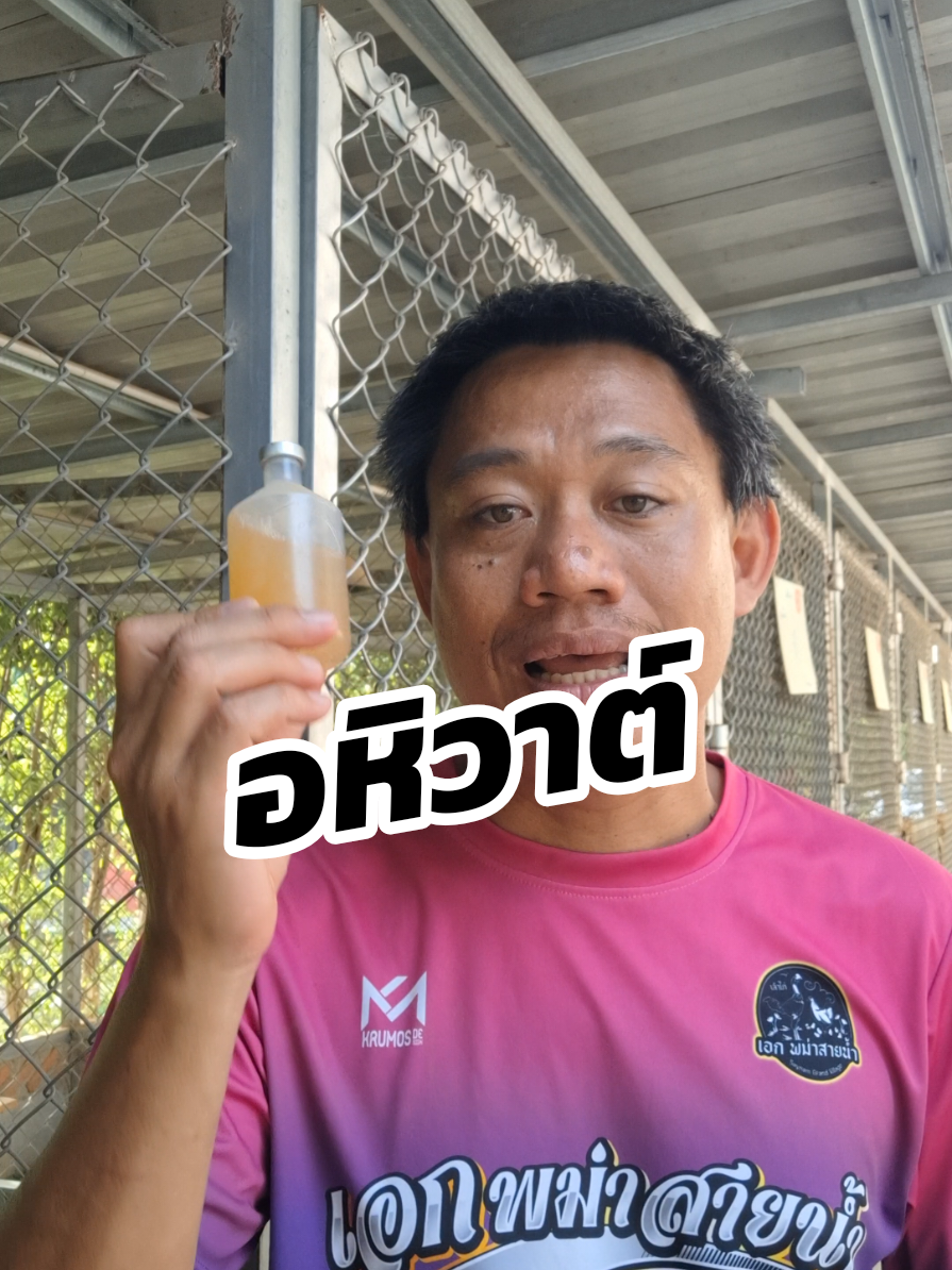 ทำไว้ไม่เสียหาย#รักษาสัตว์ #farm #เกษตรกร #ไก่พื้นเมือง #ฟาร์มไก่ #ปศุสัตว์ #วัคซีนไก่ 