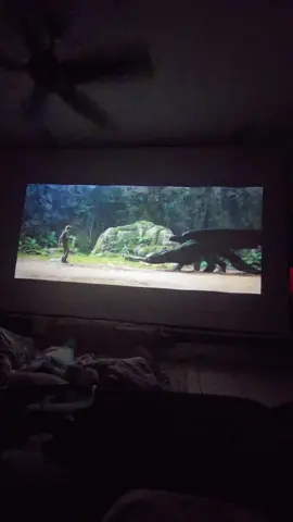 Nest way to have a famiky movie night. On a giant screen with a projector. How to Train Your Dragon is seriously one of my favorite movies.  #howtotrainyourdragon #toothless #liveaction #liveactionremake #liveactionhowtotrainyourdragon #movienight #homemovietheater #favoritemovie 