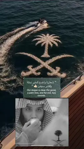 #سيفين_ونخلة #سعوديون #السعوديه #ترند #السعوديه🇸🇦💚 #السعوديه_العظمى🇸🇦 