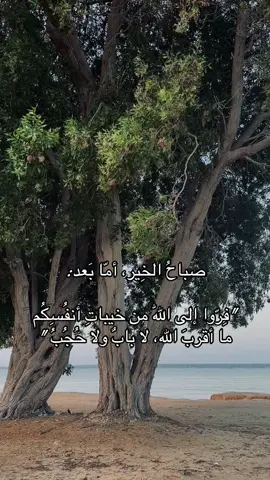 #fypシ゚ #foryou #explore #عبارات #اقتباسات #شعر #ينبع_المزه #ينبع #فصحى #ترند #مالي_خلق_احط_هاشتاقات #tiktok #صباح_الخير 
