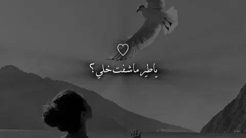 مثل القمر يوم هلي #اكسبلور #جبراتت📮١6 #مالي_خلق_احط_هاشتاقات #تصميم_فيديوهات🎶🎤🎬 #شيلات_فخمة❤️ #شيلات 