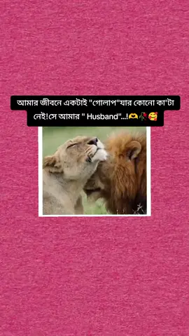 #shaifar_ammu #dontunderreviewmyvideo 