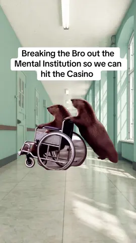 He has all the luck #adulthood #memestiktok #MemeCut #bros 