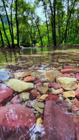 Sungai indah jernih#sungaiindah #sungaijernih #riverside #airsungai #alamindah #pemandanganindah #sungaibersih #sungai #river #beautifulriverside