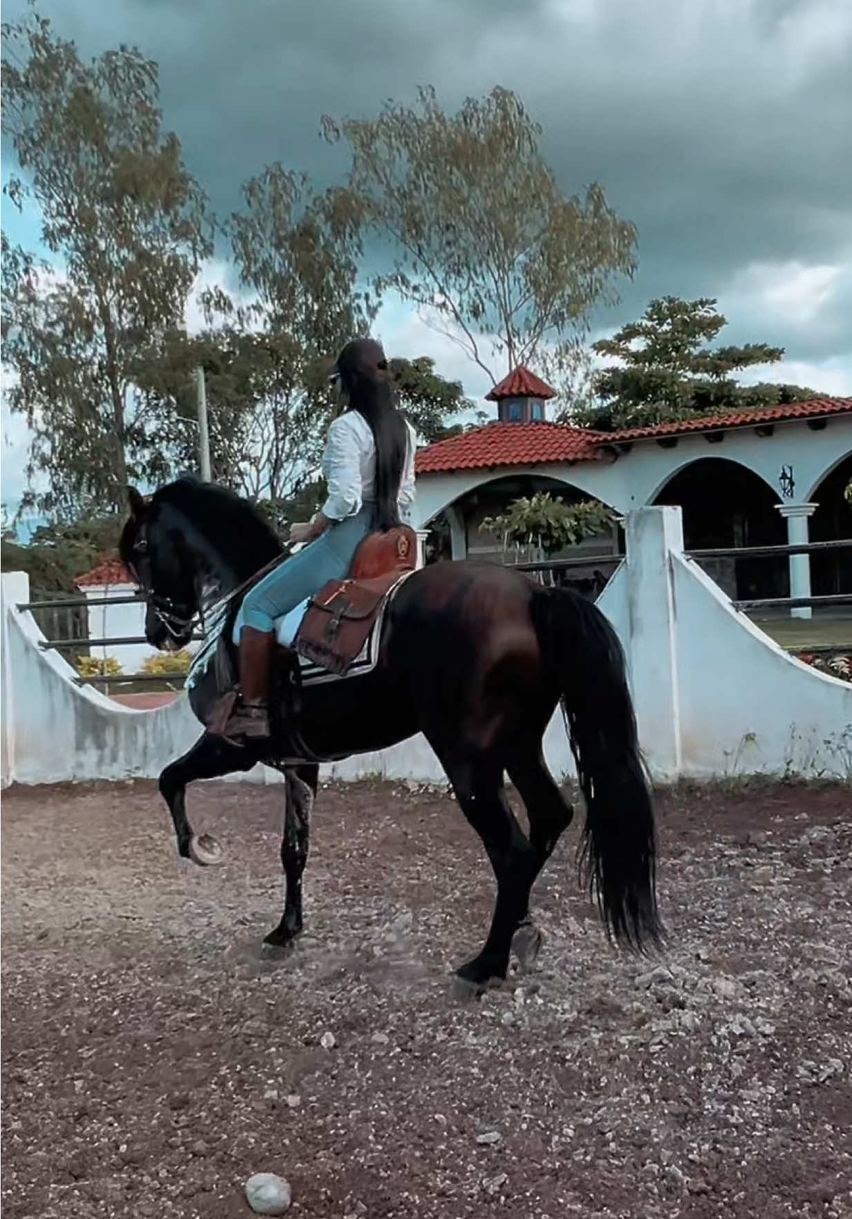 montando un buen caballo, un españolito 🎶💘 #caballosbailadores #caballos #español #caballoespañol #horse #cabalgata #fypシ #guatemala 