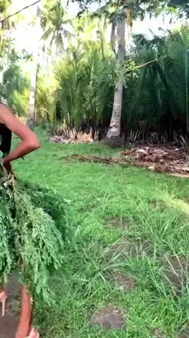 comenta a quien le coronarias, que pais quieres que se mencione en el siguiente video  #Recuerdos #fyppppppppppppppppppppppp #fypシ゚ #viralvideos #viraltiktok #vira #foryoupage❤️❤️ 