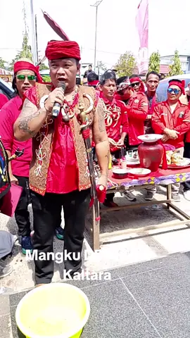 aksi Penolakan Transmigrasi di Kaltara #tolaktransmigrasi #tolaktransmigrasi #pasukanmerahtbbr🇧🇪🇧🇪 #pangalangokjilah #tbbrsetanahdayak #dayakkalimantan 