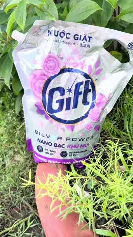 Nước giặt GIfT hương hoa 3.6ky nano Bạc giúp quần áo thơm cả ngày luôn á mấy chị #nuocgiatgift #giadungtienich #phuongtichcuc  @Phương tích cực  @Phương tích cực  @Phương tích cực 