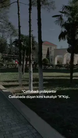 buranın qanunu vardır.. #cənub #cəlilabadım #talış #🖤 #fyp 