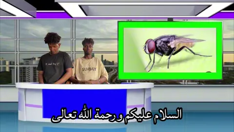 عدم موضوع بس😂 #حلفاالجديدة❤🇸🇩 