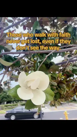 #hayward #bayarea #510 #Flashback #history #faith #sanleandro #castrovalley 