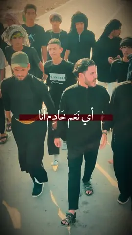 #ذي_قار 