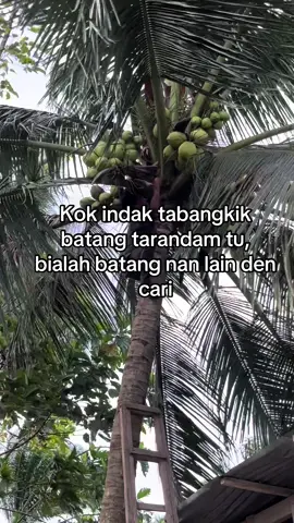 #fypage#fypminang#fyp Dek ulah Ica lh pndai manggigik tali@Chan dra 