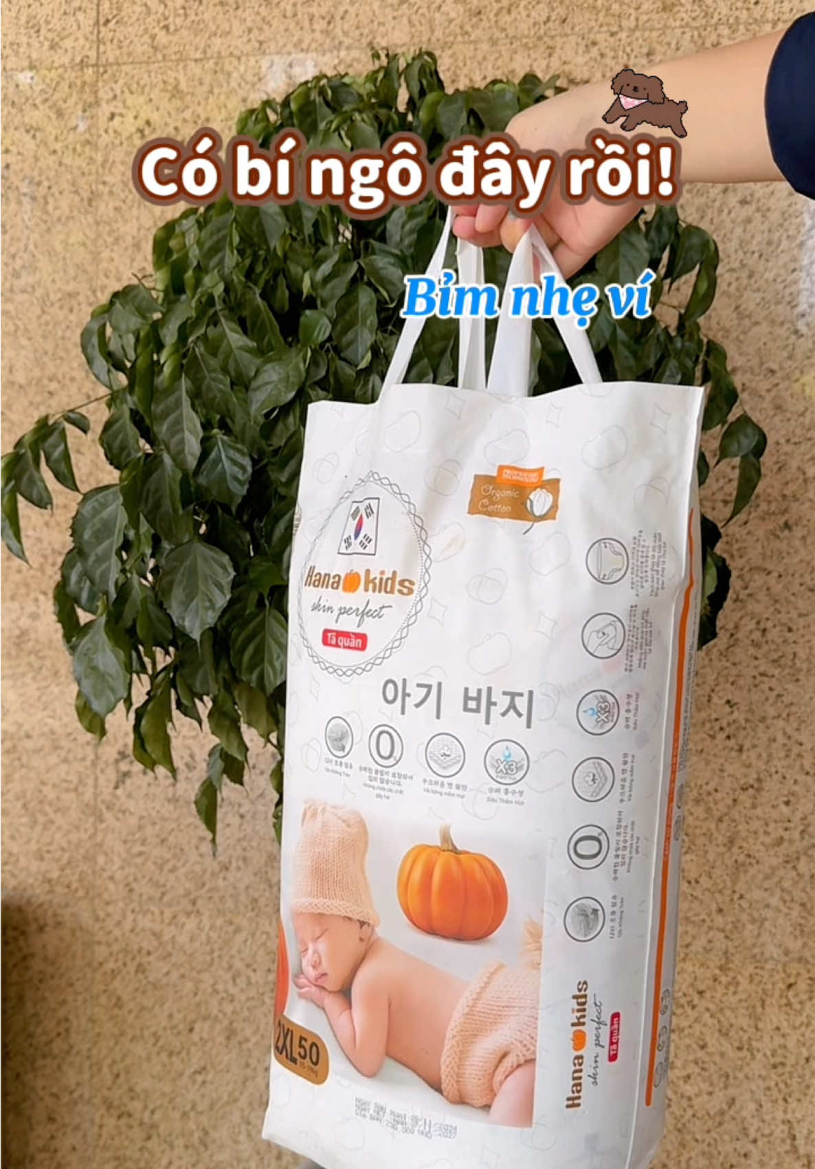 Bỉm Bí ngô tại sao các mẹ mua nhiều thế #bỉm #bimchobe #review #meyeucon #hanakids 