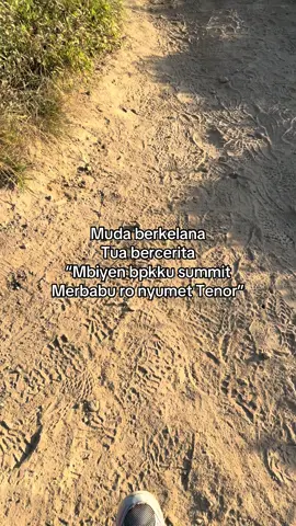 SEKELAS SURYA PUN KALAH#pendakigunung #pendakifomo #merbabu #fypシ #storypendakigunung 