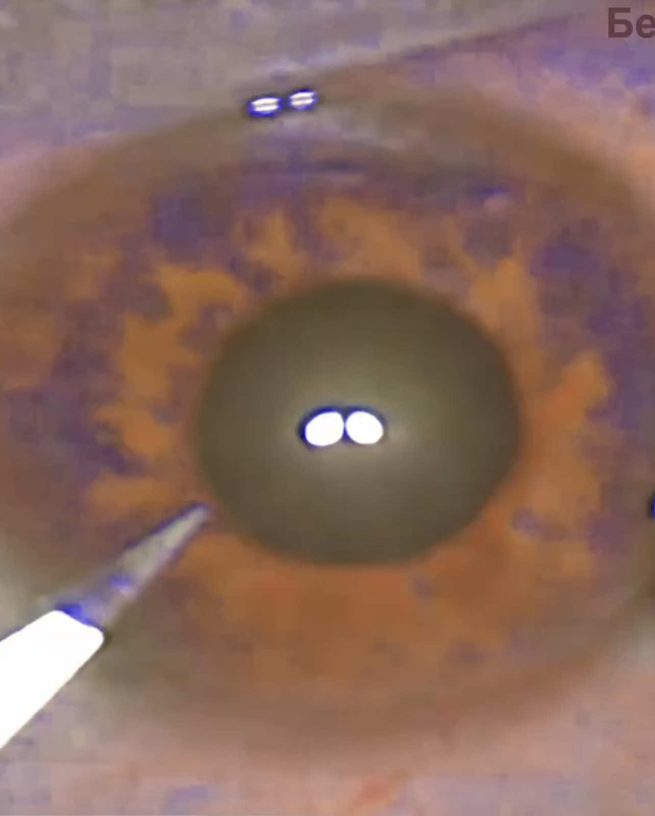 I don’t speak in Russian, okey 🙄 #eyes #browneyes #foryoupage #foryoupage #foryoupage #foryoupage #eyes 