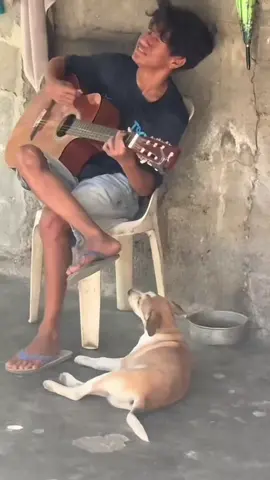 #คลิปตลก 🤣 #คลิปหมาร้องเพลง