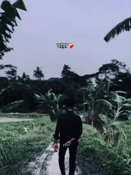 #CapCut Song💝❤️‍🩹 #newtrending #template #foryou #foryoupage 