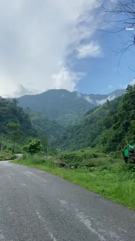 her 💚  Chitwan📍 #foryou #fyp #nepal #60fps #foryoupage #fy #chitwan #view #quality #iphone11 #viralvideo #viral #trending #trending???video 