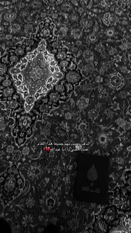 #كربلاء #عراق #الكويت #البحرين #النجف #1447 #313 #الأربعين 