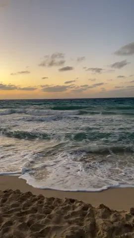 #قصايد #قصايد_شعر #هواجيس #بحر #الساحل #🌊 