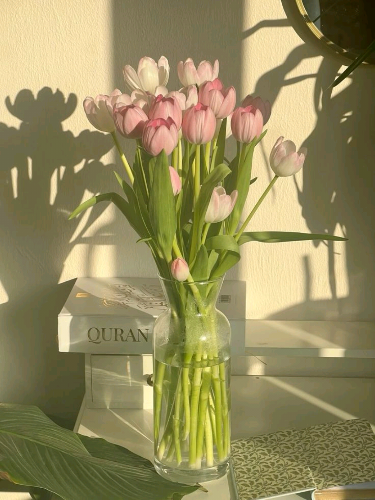 Thả cảm xúc bạn vào đây😊🍀🌷#podcast #tichcuc 