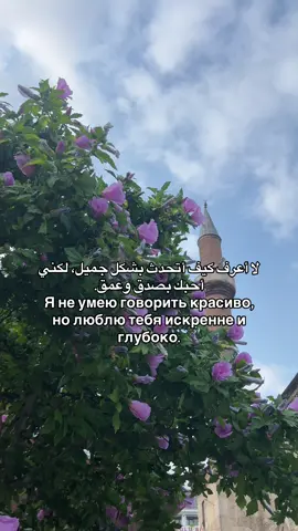 اللهم إني أستودعك روحٌ لا أُريد أن القها إلا بحلالك يارب 🫶🏻❤️‍🩹🫂#تصويري_احترافي_الاجواء👌🏻🕊😴 #تصميم_فيديوهات🎶🎤🎬 #كتاباتي 