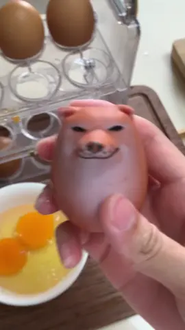 卵が欲しいだけです… 🥚🔗柴子ちゃんを養子に迎えるにはプロフィールにリンクがあります #shibako 