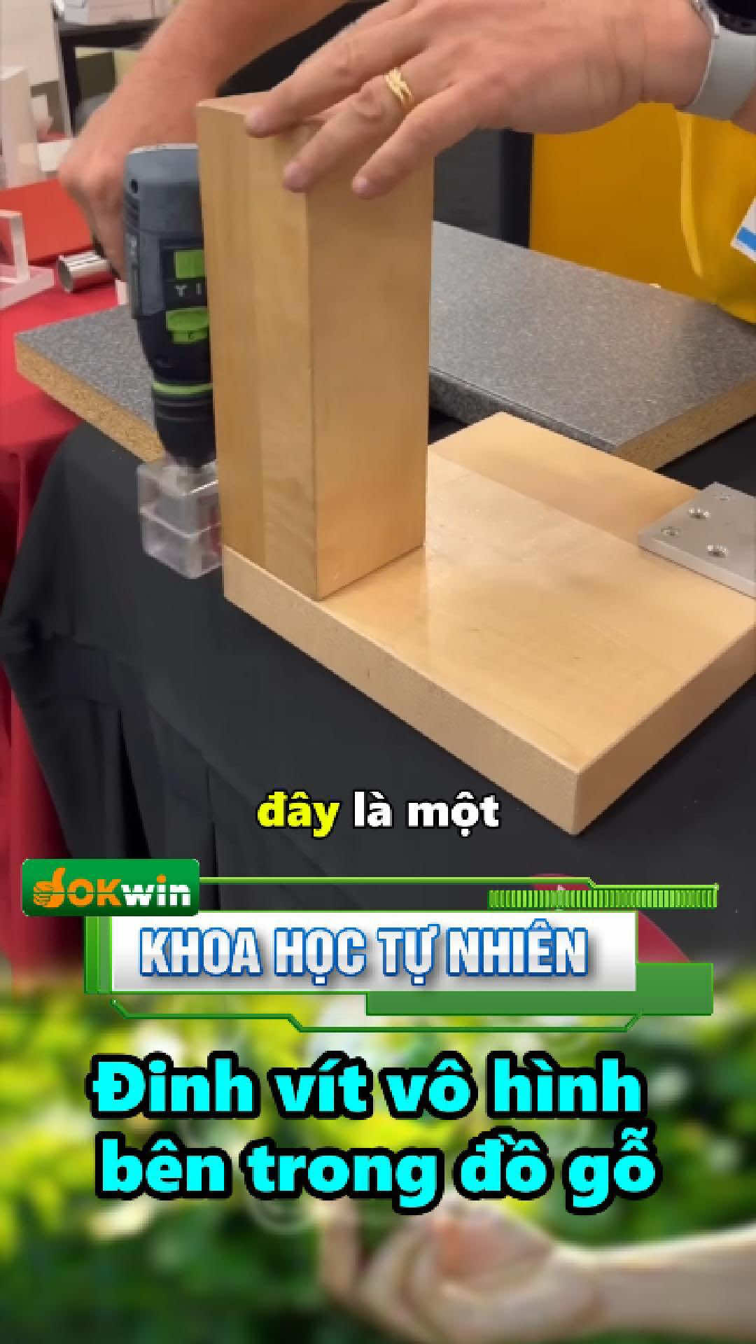 Đinh vít vô hình bên trong đồ gỗ #khoahoc #khoahoctunhien #congnghe #phatminh #vatly #kienthuc 