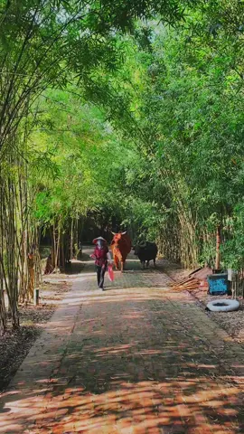 Hai diễn viên có thâm niên cao nhất tại Tinh Hoa Bắc Bộ. #tinhhoabacbo 