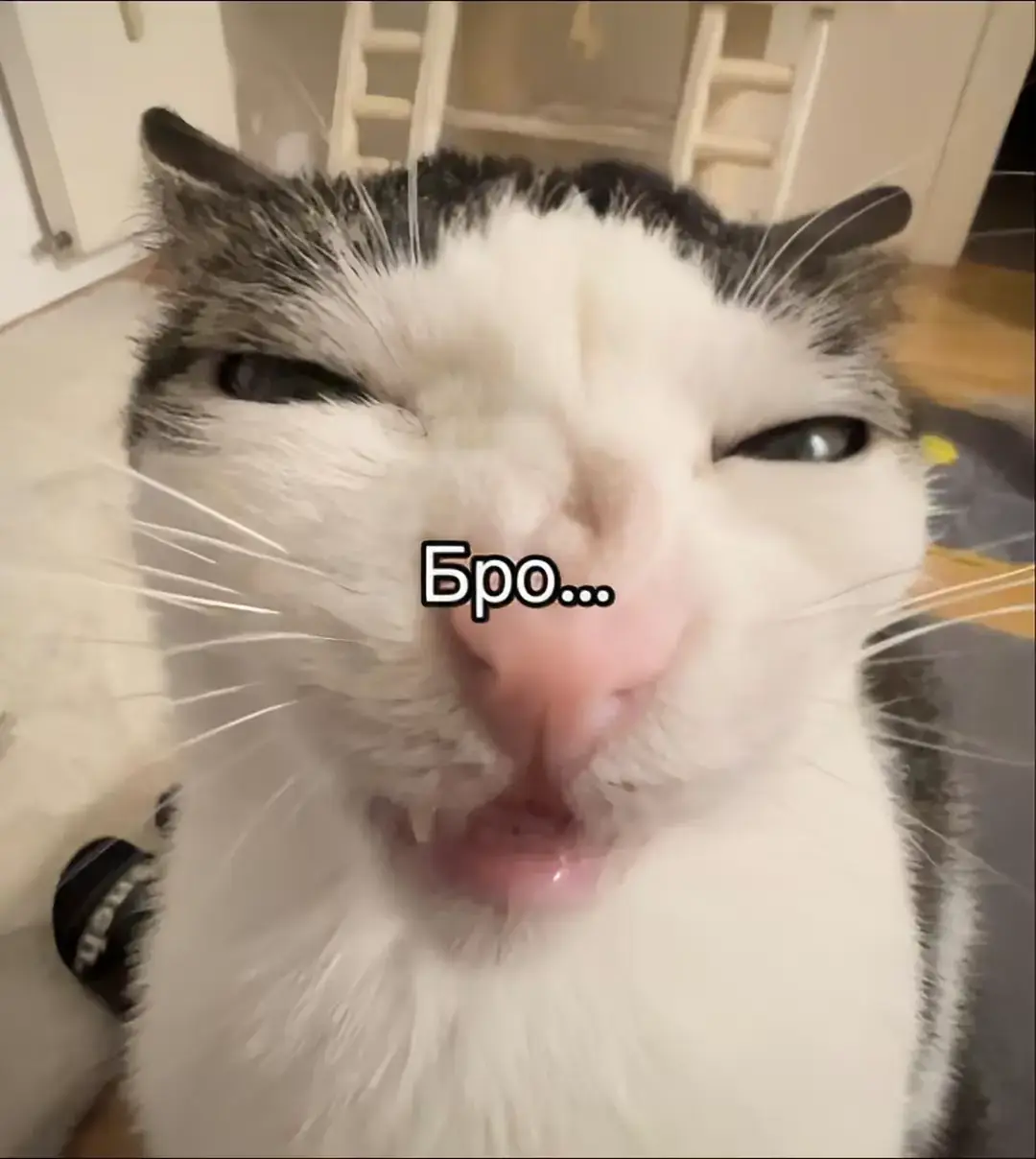 #рекомендации #❤️‍🔥#fyp 