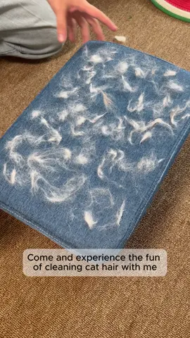 If you have pets, they will shed and this will save you a lot of time! #TikTokShopBacktoSchool sale hair #tiktokshopbacktoschool #sheddinghair #gloves #pethairremoval #cat #petshedding #pethair #pethairremover #dog #tiktokshopbacktoschoolsale #pet #shedding