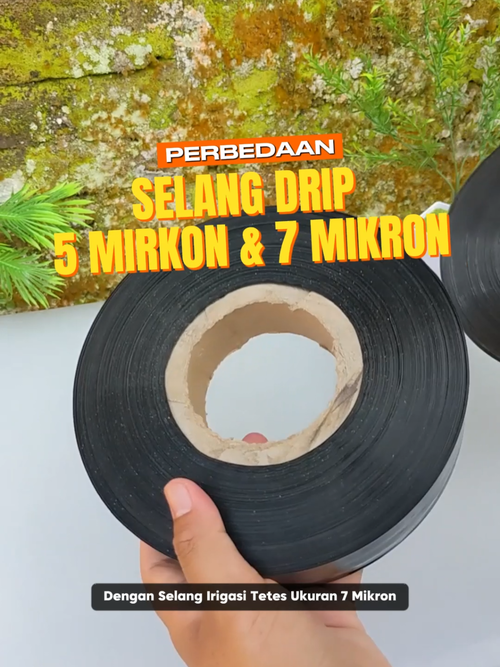 Perbedaan selang drip irigasi tetes 5 mikron dan 7 mikron 300 meter #selangair #selangdrip #selangdripirigasi #selangdriptetes #selangirigasi #selangirigasitetes #fypage 