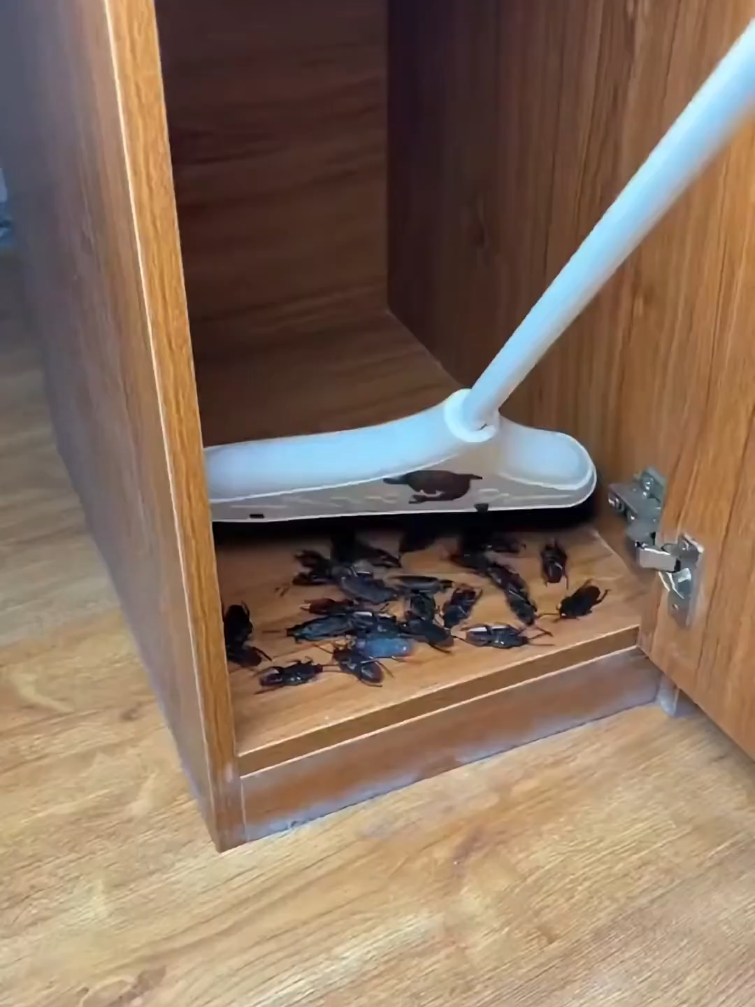 I think this is an essential share of great stuff for every household #GoodStuffShare#TikTokFinds#fyp#tiktok#tiktokshop#goodthing#foryou#viral##tiktokmademebuyit #viral #goodthing